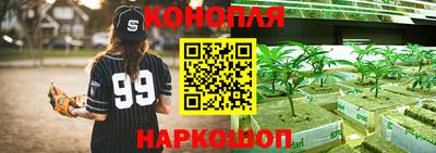 ПСИЛОЦИБИНОВЫЕ ГРИБЫ Краснознаменск